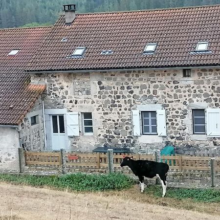 Gite A La Ferme Le Malzieu-Ville Kültér fotó