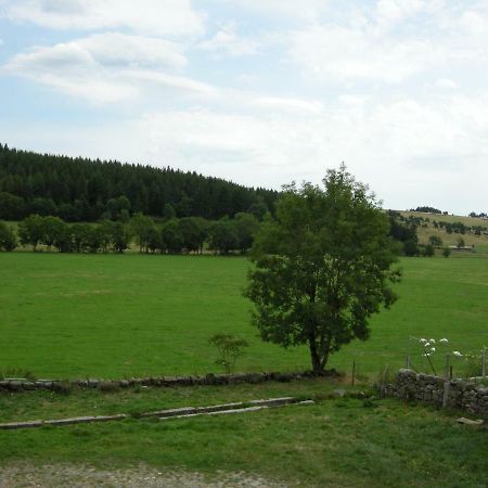 Gite A La Ferme Le Malzieu-Ville Kültér fotó
