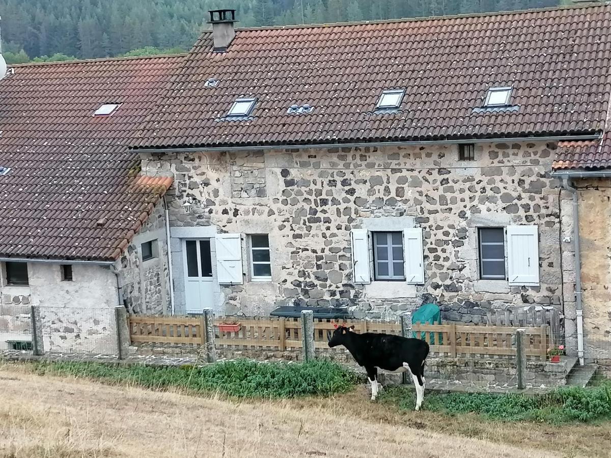 Gite A La Ferme Le Malzieu-Ville Kültér fotó