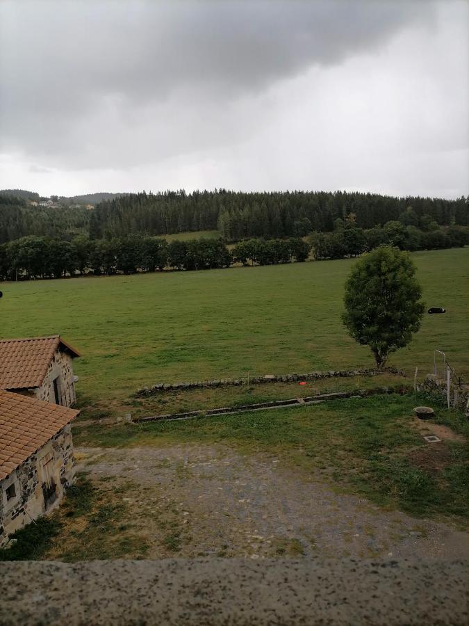 Gite A La Ferme Le Malzieu-Ville Kültér fotó