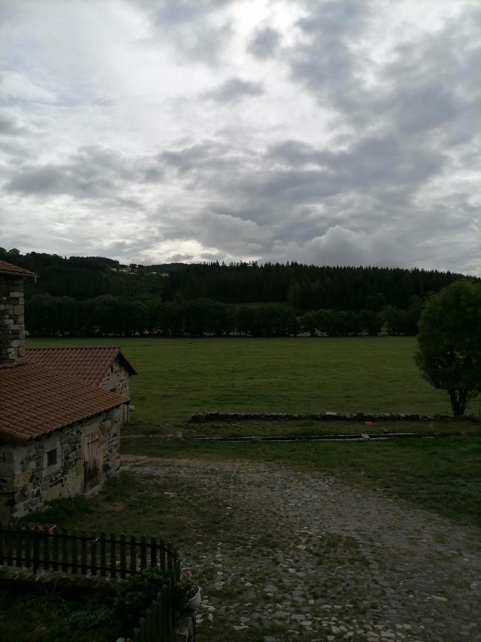 Gite A La Ferme Le Malzieu-Ville Kültér fotó