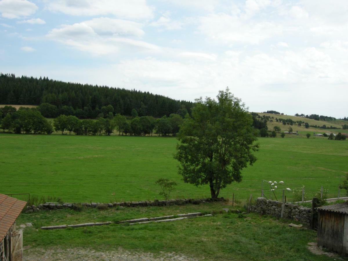 Gite A La Ferme Le Malzieu-Ville Kültér fotó